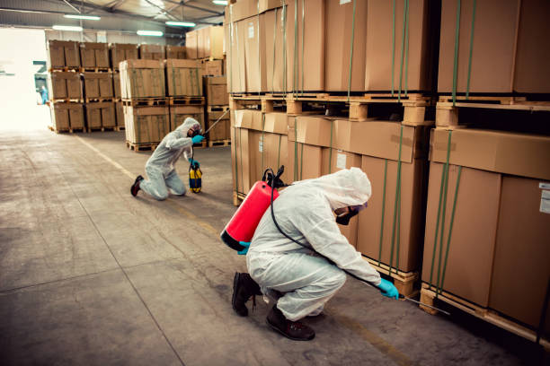 Best Best Pest Control Companies  in Rainbow, CA