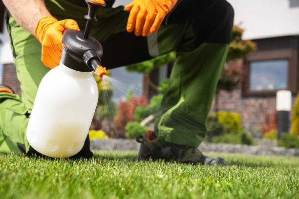 Best Pest Removal Services  in Rainbow, CA