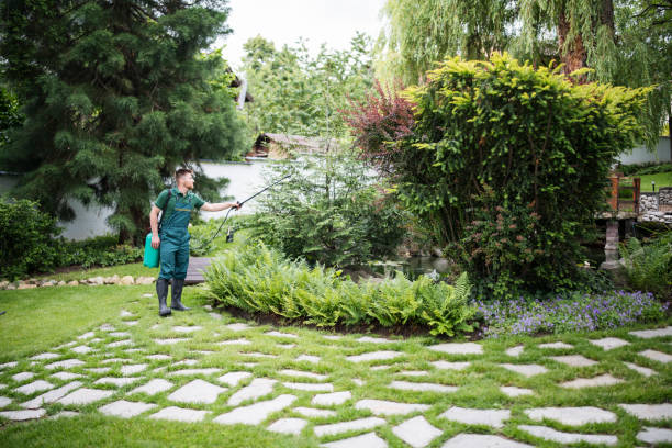 Best Ant Control Services  in Rainbow, CA