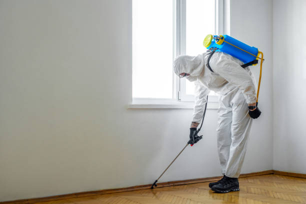 Rainbow, CA Pest Control Company